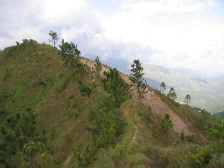 Hiking in Jamaica's Blue Mountains