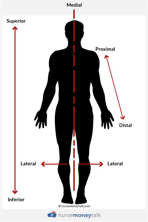 Proximale Drucksyndrome An Den Unteren Extremitten