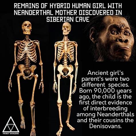 A hybrid child of Neanderthal and Denisovan origin has been identified ...