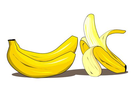 fresh banana fruit illustration vector drawing 3111575 Vector Art at Vecteezy