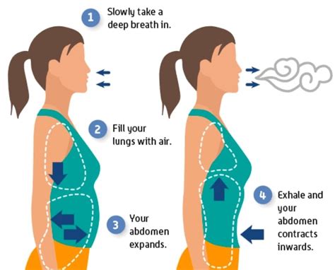 Diaphragmatic Breathing and your Pelvic Floor | Rebound Health