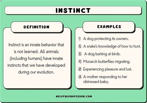 31 Instinct Examples (In Humans and Animals) (2024)