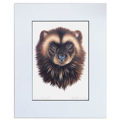 Large Wolverine Totem Portrait, Animal Art Print, Drawing Unframed ...