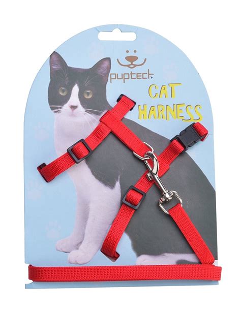 The Best Cat Harnesses on the Market Today