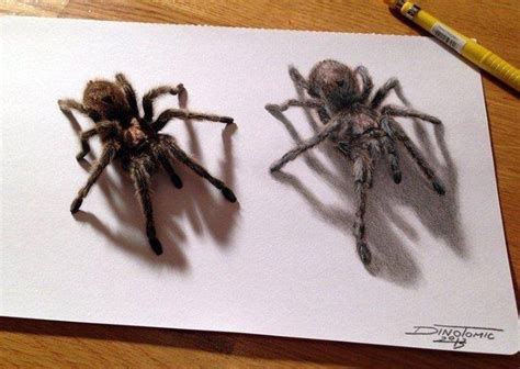 Spider 3D Drawing | Illustrations - Drawings | Pinterest | 3d, Drawings and Spider