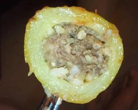 Kusa Mihshi - Stuffed Lebanese Squash / Cucuzza / Koosa Recipe - Food.com