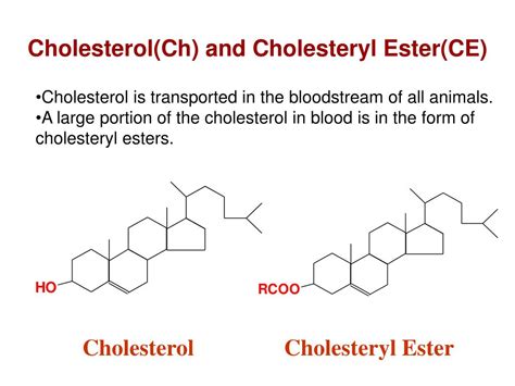 PPT - Determination of the total cholesterol in serum PowerPoint ...