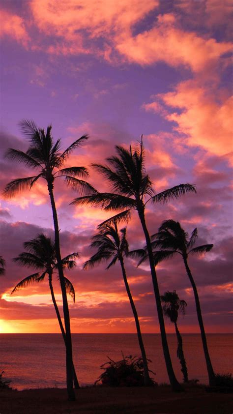 1080x1920 Hawaii Sunset iPhone Wallpaper HD | Sunset iphone wallpaper ...