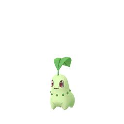 Chikorita | Pokemon Go Wiki | FANDOM powered by Wikia