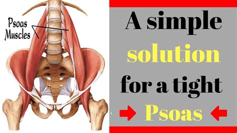 How to Release a Tight Psoas (lliopsoas) : A simple solution for a complex muscle - Fitness 4 ...