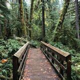 Old Salmon River Trail - Oregon | AllTrails