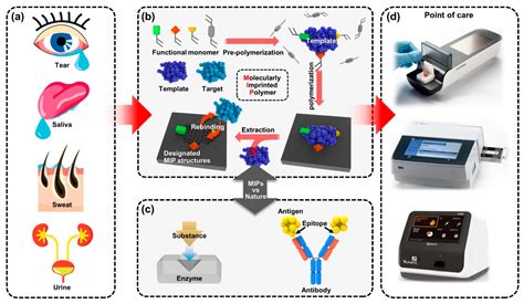 Biosensors | Free Full-Text | Recent Advances of Point-of-Care Devices ...