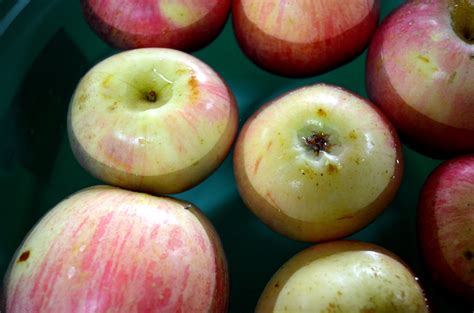 Bobbing Apples Free Stock Photo - Public Domain Pictures