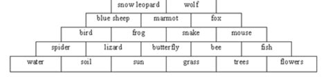 Energy Flow, Food Web - The Snow Leopard