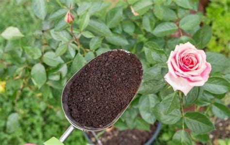 15 Gardening Hacks That Will Trick Everyone Into Thinking You Have A ...