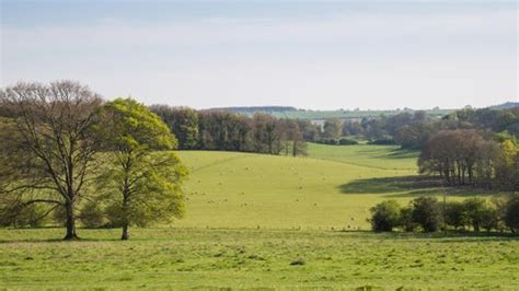 The history of Hinton Ampner | Hampshire | National Trust