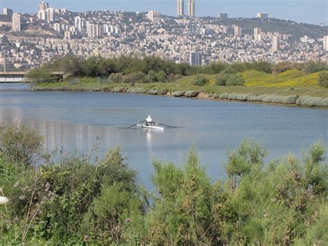 Kishon River: From poison to pristine - ISRAEL21c