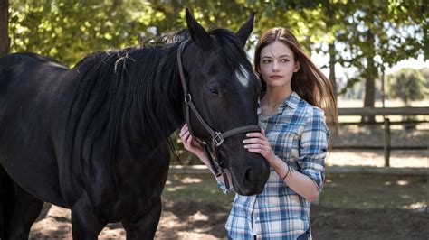 ‎Black Beauty (2020) directed by Ashley Avis • Reviews, film + cast ...