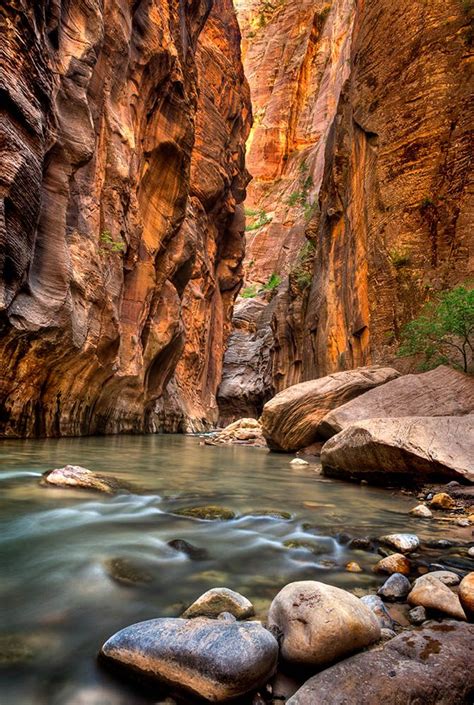 Hiking the Narrows of Zion National Park