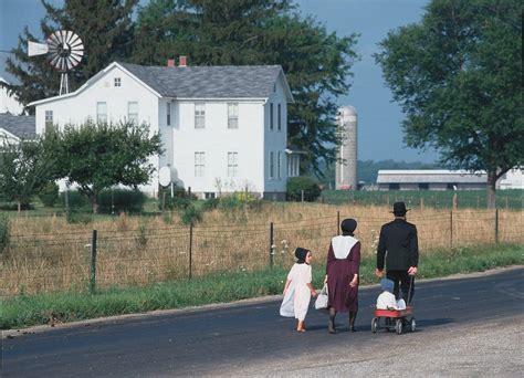 The Fancy Amish | Lori Erickson