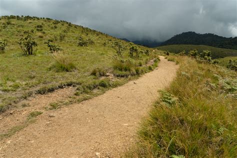 Horton Plains National Park | Wonders of Ceylon