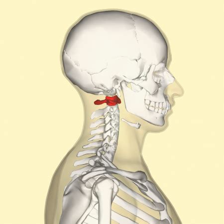 Atlas and Axis - Ascension Glossary