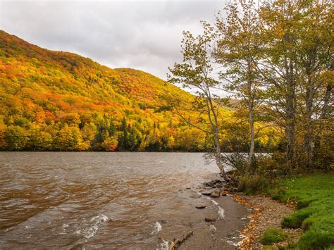 Cape Breton Highlands Autumn Foliage [1920x1440] http://ift.tt/2iKTJLO | Cape breton island ...