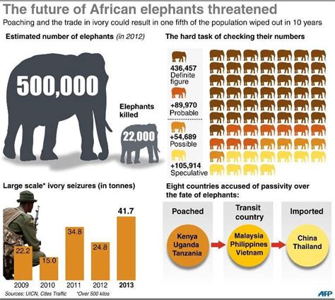 Facts - Elephant Poaching