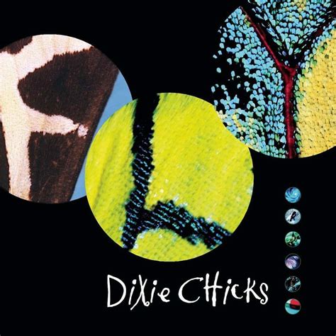 The Best Dixie Chicks Albums, Ranked By Fans