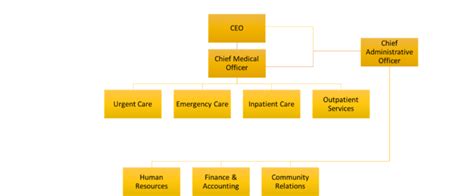 Common Organizational Structures | Principles of Management