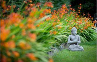How to Create a Wellness Sanctuary in Your Backyard | Backyard sanctuary, Backyard, American ...