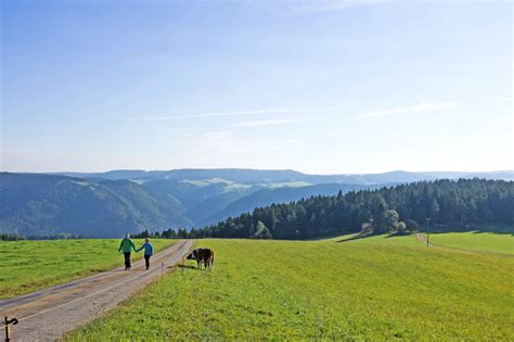 The best Hikes in Schonach im Schwarzwald | Outdooractive