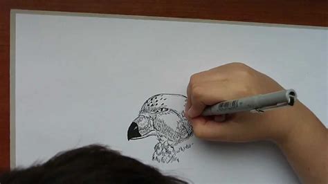 Dusan Krtolica 10 years, Crtanje Zivotinja, Drawing Animals - YouTube