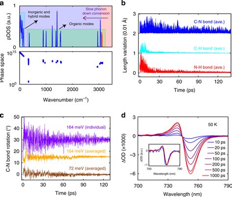 First-principles calculation of the phonon dynamics for orthorhombic ...