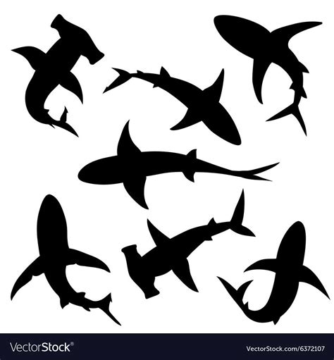 Image result for shark silhouette template | Shark silhouette, Fish silhouette, Silhouette images