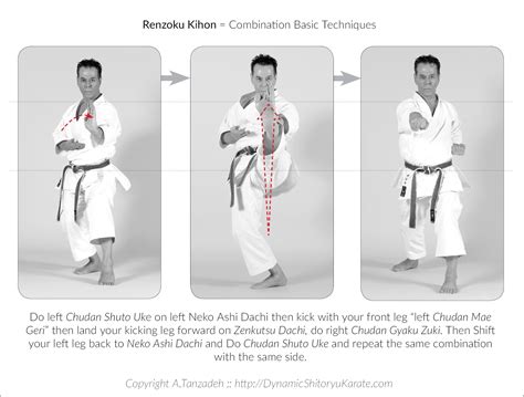 Renzoku Kihon = Combination Basic Techniques – A.Tanzadeh, 8th Dan ...