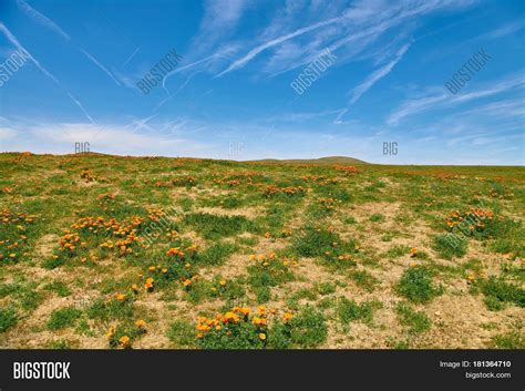 Fields California Image & Photo (Free Trial) | Bigstock