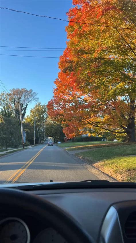 Fall leaves aesthetic in 2022 | Autumn leaves photography, Fall ...