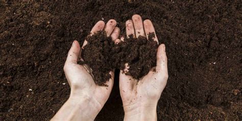 Soil Percolation: Why It's Important and How to Measure It