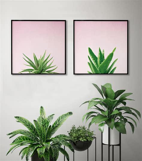 Houseplant Art For the Home - Wild Apple