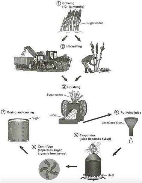 The diagram shows the manufacturing process for making sugar from sugar ...