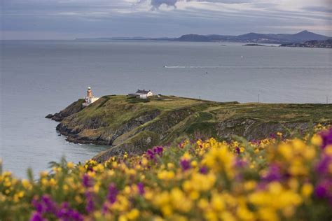 HOWTH CLIFF WALK: when to visit, WHAT TO SEE, and things to know