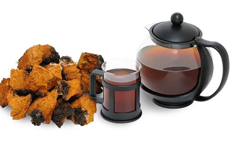 Benefits of Chaga Mushrooms (2019 Update)