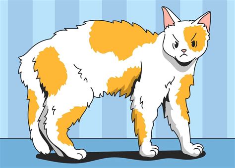 How Long Can a Cat Live With Hyperthyroidism?