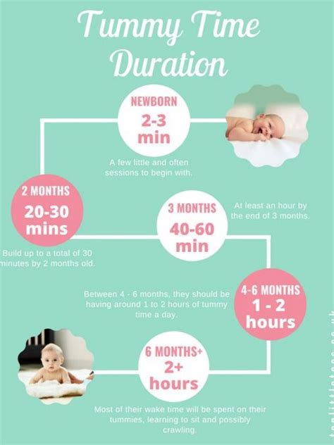 Newborn schedule: An immersive guide by WholeSurgical.com