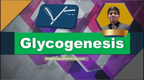 Glycogenesis I Animation I Carbohydrate metabolism - YouTube