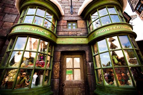 Islands of Adventure | The Wizarding World of Harry Potter - Brownie Bites Blog