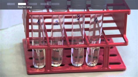 How to perform colony PCR - YouTube