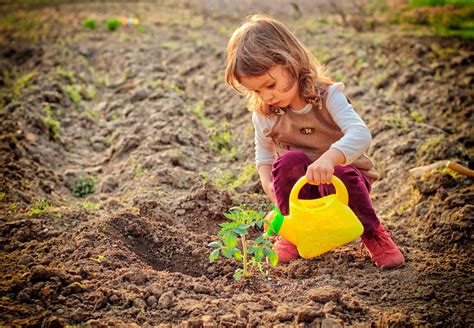 Kid Garden Archives - THE LIVING FARM