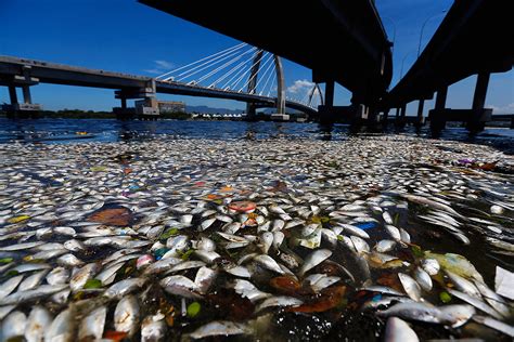 Rio Pollution a Major Issue and it's Set To Get Bigger • Live Sail Die